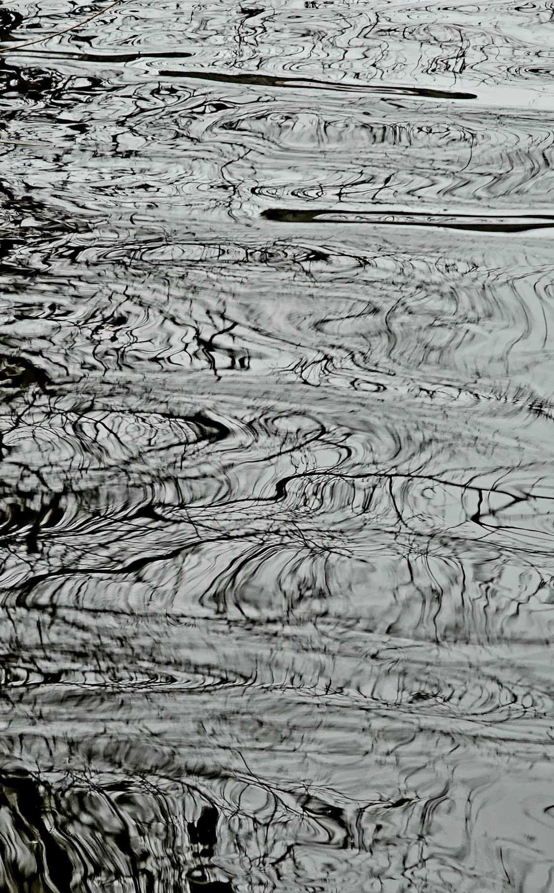 Epops Photo, Waterstructuur