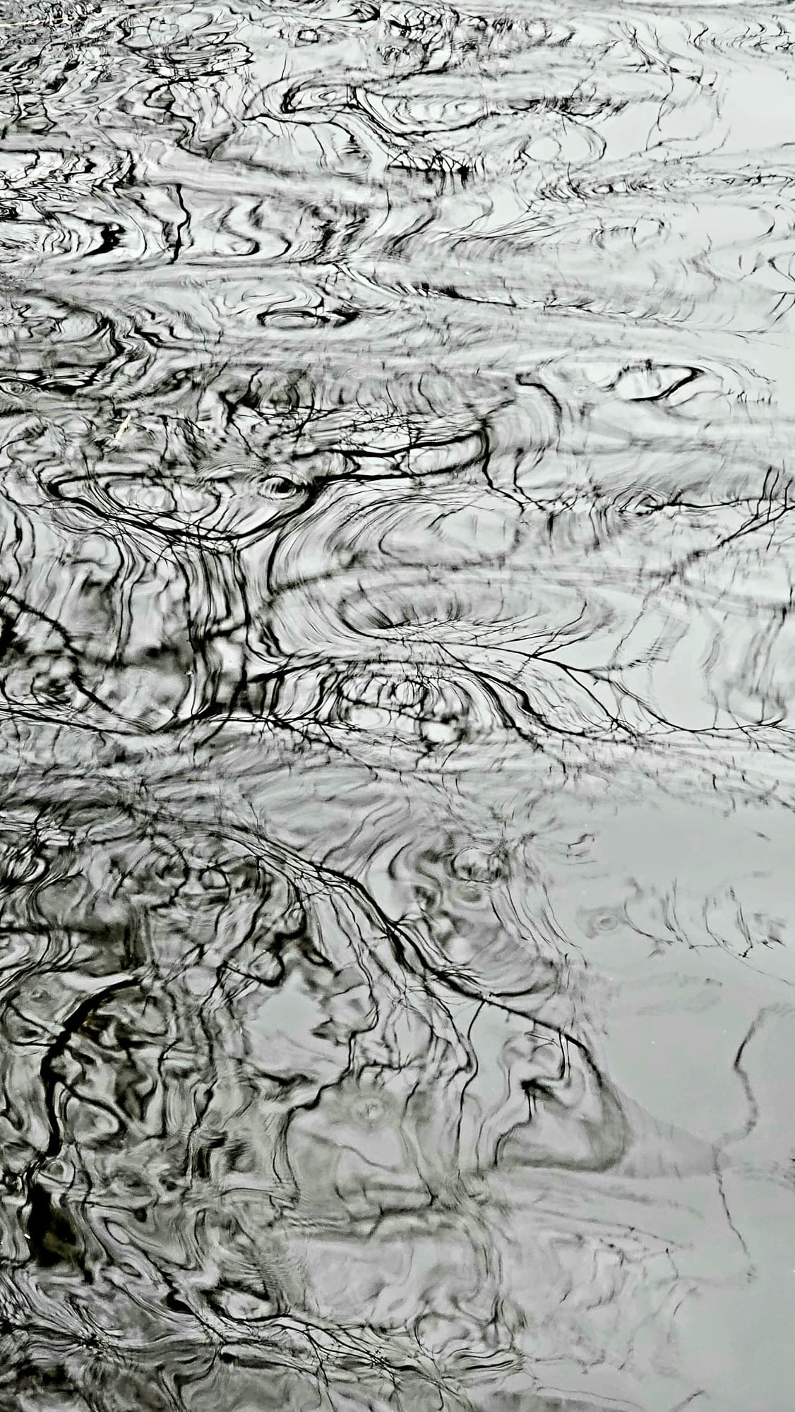 Epops Photo, Waterlijn
