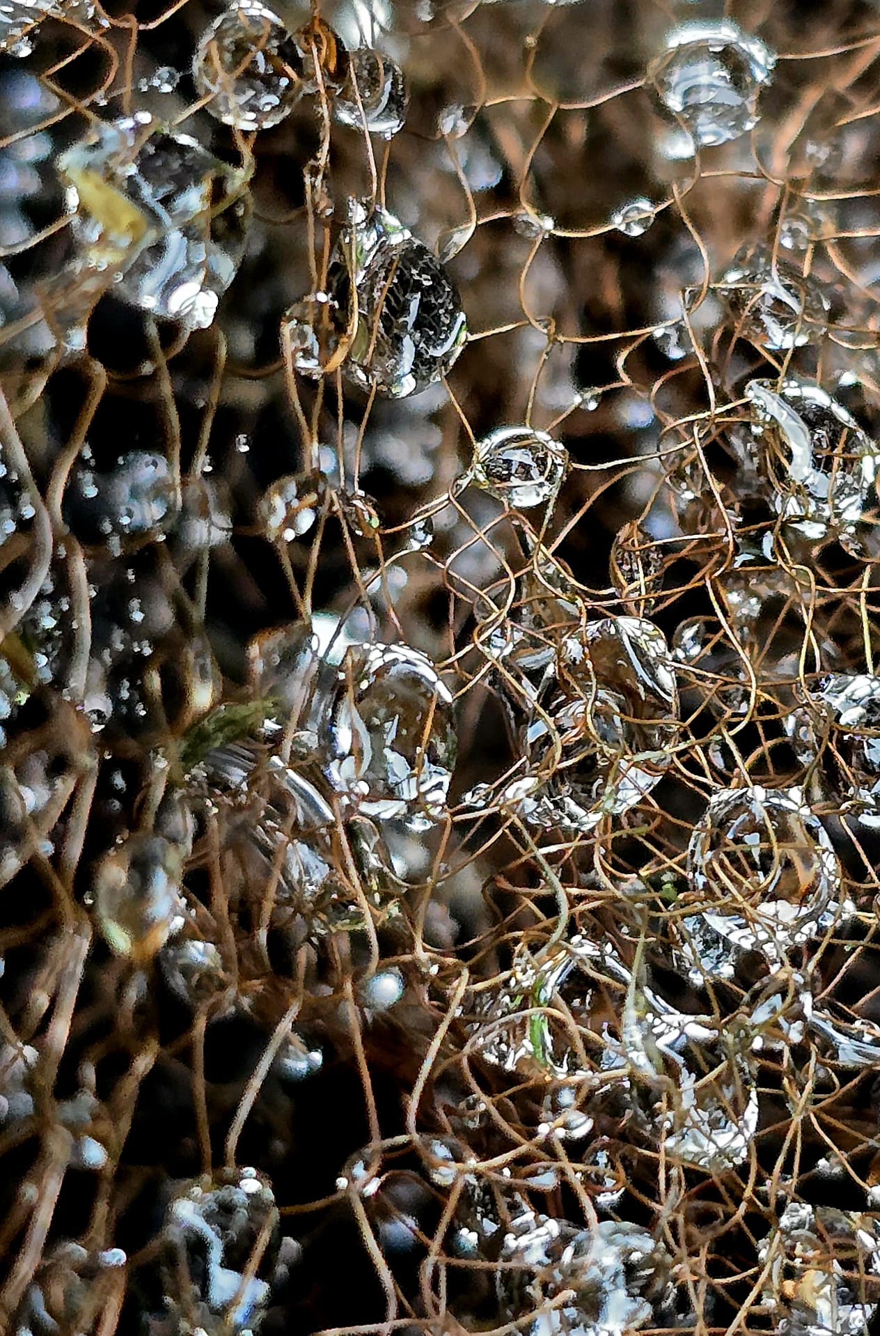 Structuren fotografie van Epops