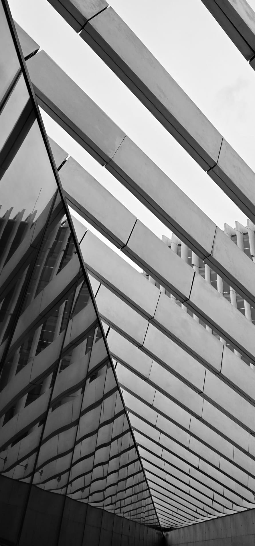 Epops Photo, Structuur